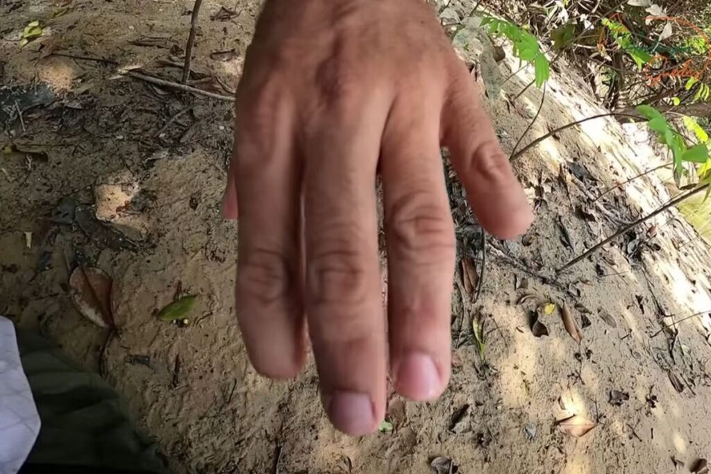 foto pescador atacado por onca 2