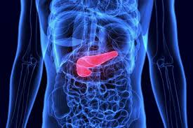 images 2025 07 08T165147.729