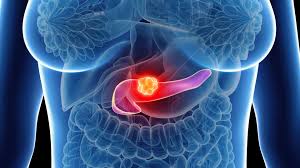 images 2025 07 15T002655.206