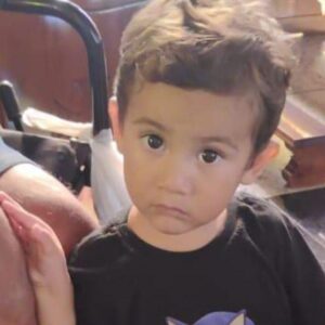 Menino Bernardo de 2 anos