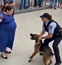 images 2025 10 14T234117.166 e1760496183736