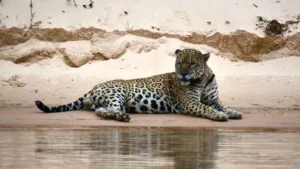 5f2a3fb5 6834 47e4 9627 0103faf2ef79 e1745413826146