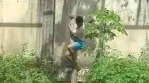 Leoa que matou homem em parque na Paraiba