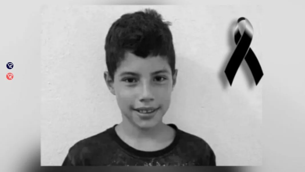 ViNaRede 26 1068x601 1