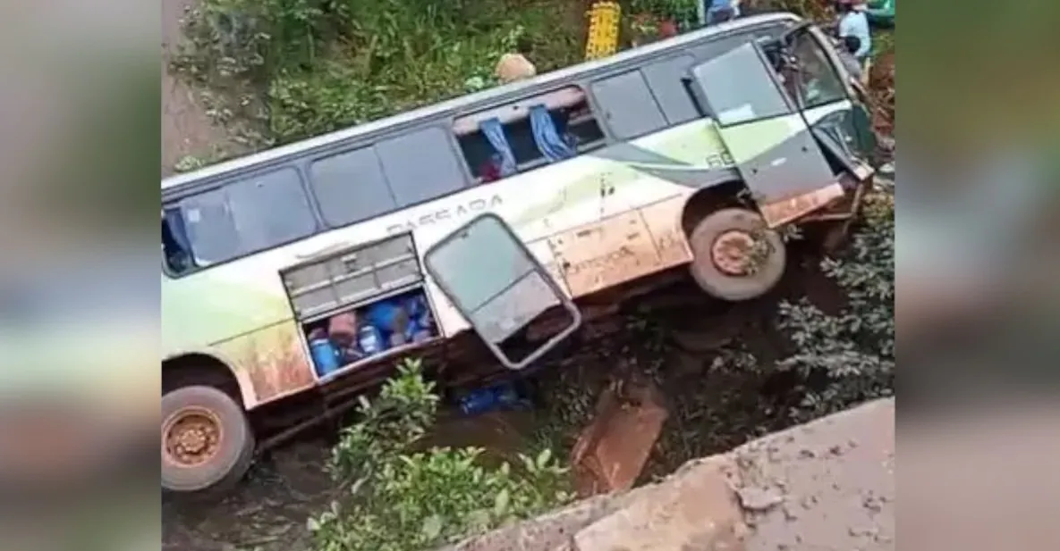 Captura de tela 2025 04 30 134342