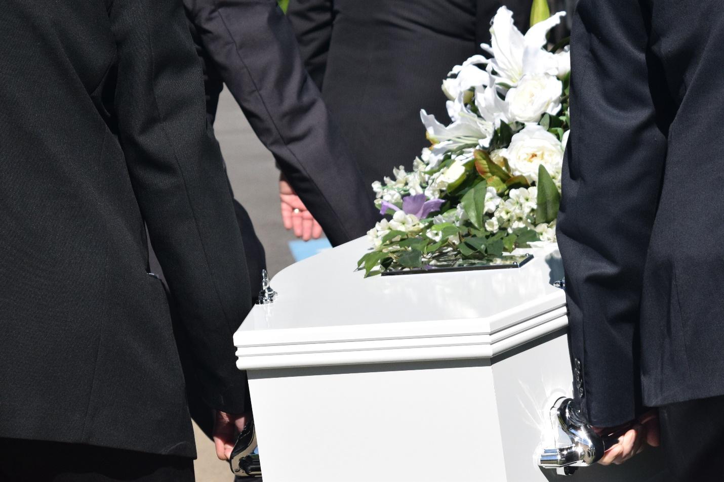 Fabiana Tentou Separar Briga Dos Próprios Cães E, Após 4 Meses Lutando Pela Vida, Não Resistiu… Ver Mais