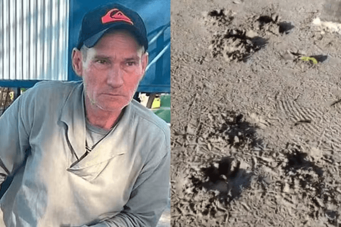 imagem 2025 04 24 093448760