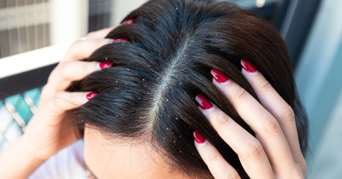 LUTO 2025 06 16T230708.425