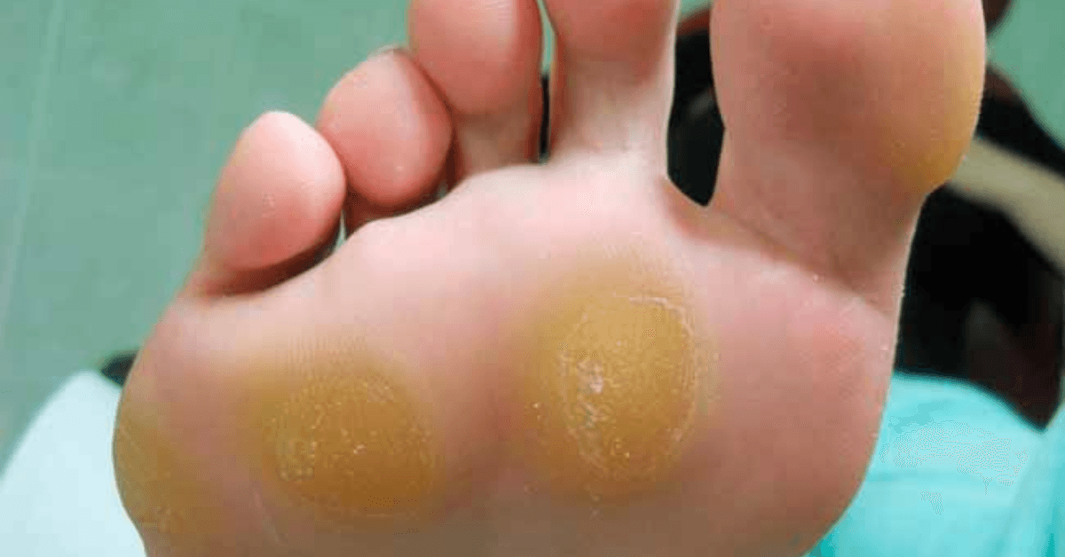 LUTO 2025 06 17T234708.479