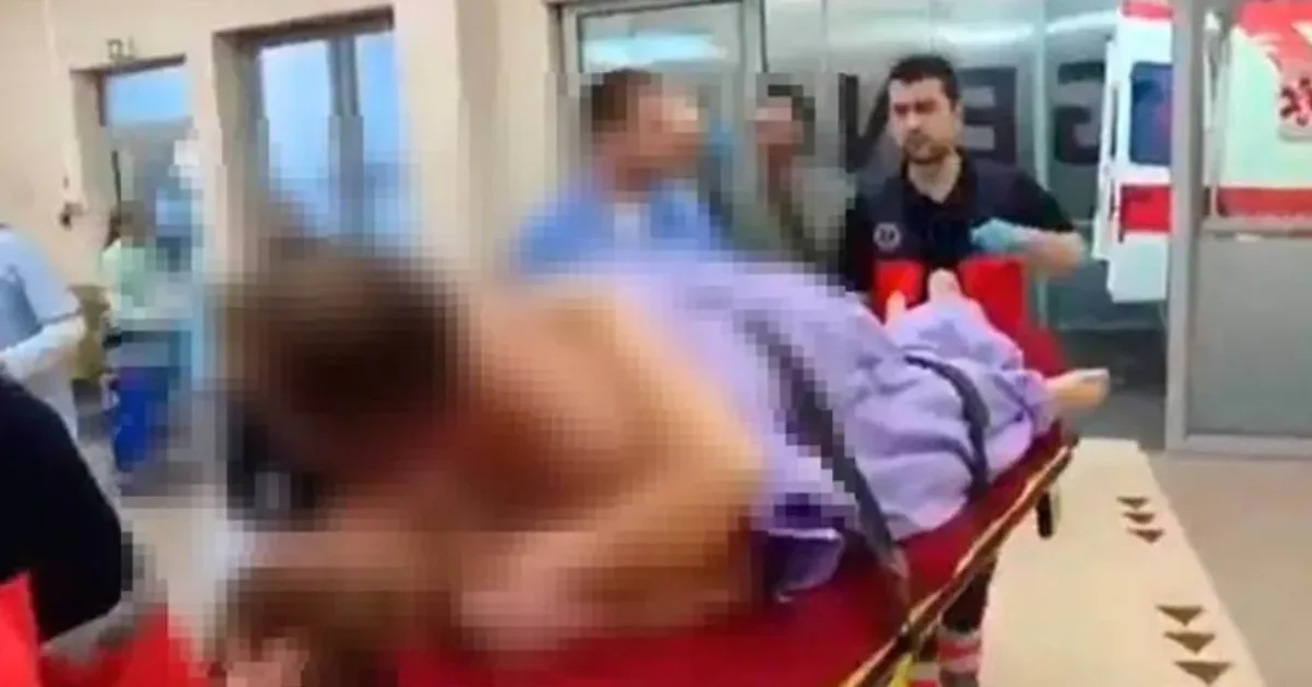 LUTO 2025 06 18T235410.718