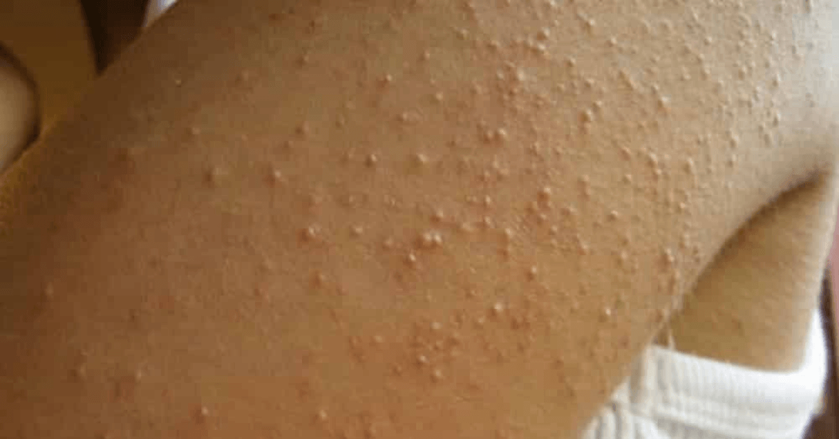 LUTO 2025 06 27T110146.983