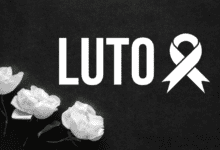 Cabecalho 2025 07 28T150831.524