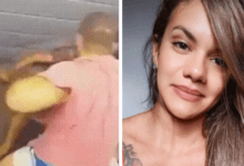 Cabecalho 2025 07 30T155826.497