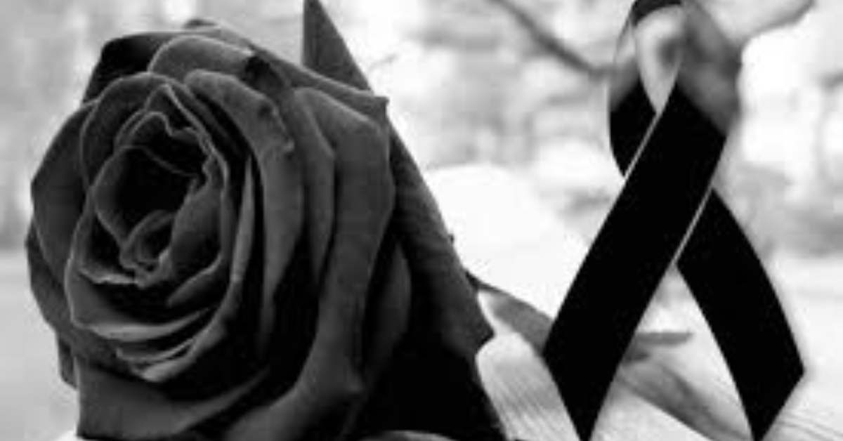 Design sem nome 2025 07 02T231721.270