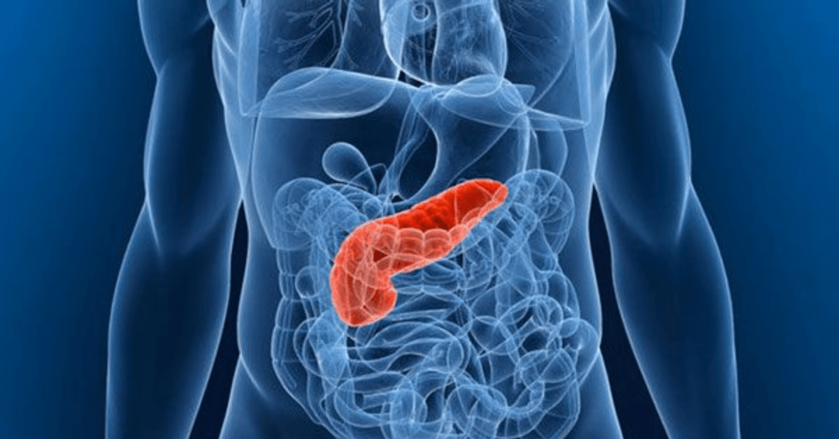 Design sem nome 2025 07 15T002749.383