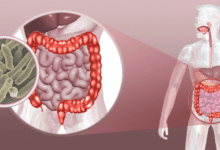 Design sem nome 2025 07 28T143206.197