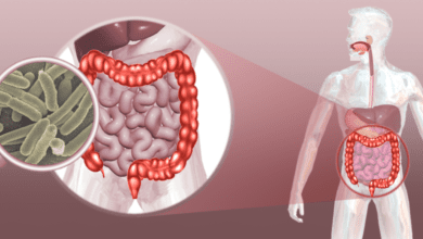 Design sem nome 2025 07 28T143206.197