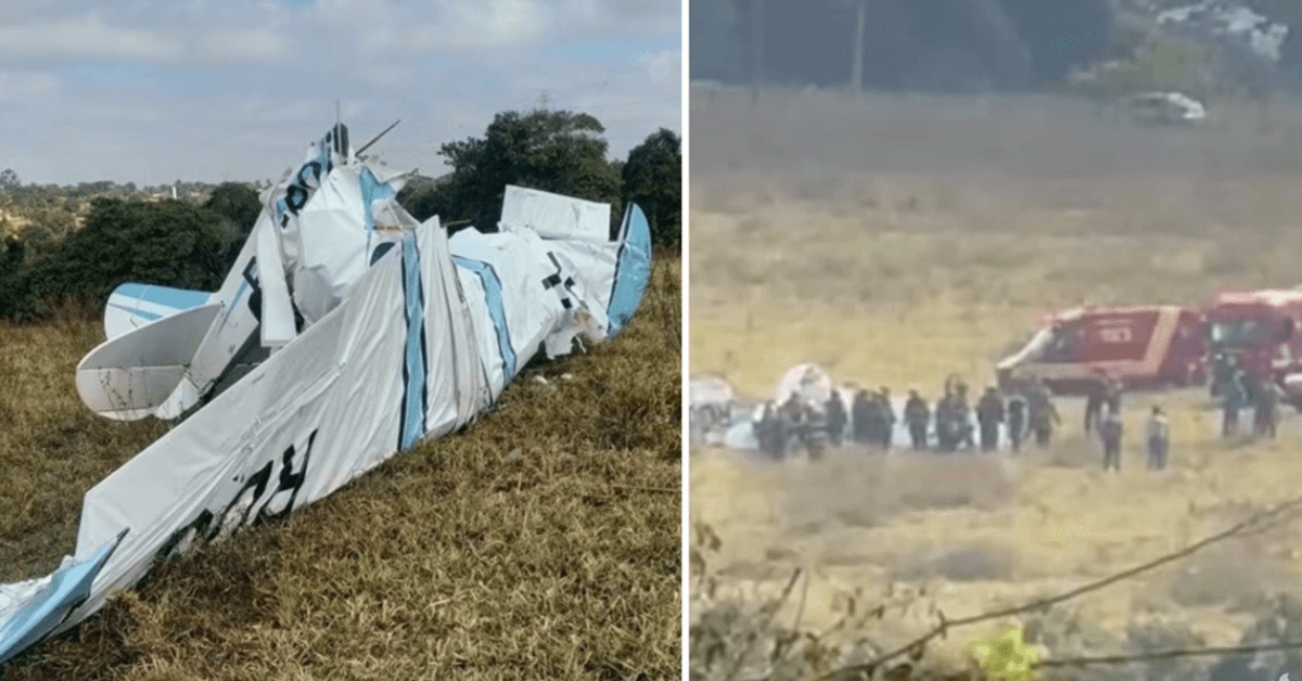 LUTO 2025 07 01T155130.227