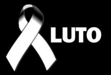 38f81797 572f 437f 9d8a 8b8a72fd1615 4