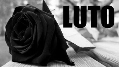 4b8d1fa0 c76e 4c37 820c a97affb76fa9 4