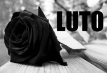 4b8d1fa0 c76e 4c37 820c a97affb76fa9 5