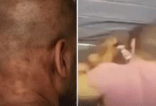 Cabecalho 2025 08 07T161413.647