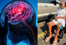 Cabecalho 2025 08 08T165948.695