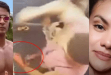 Cabecalho 2025 08 08T200943.557