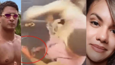 Cabecalho 2025 08 08T200943.557