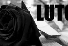 Cabecalho 2025 08 14T171743.441