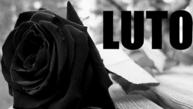 Cabecalho 2025 08 14T171743.441