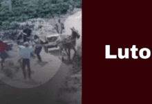 Luto 2025 08 20T102627.698