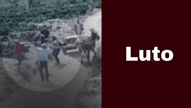 Luto 2025 08 20T102627.698