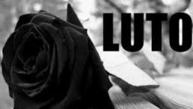 Luto 2025 08 20T111634.658