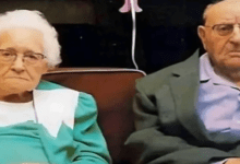 Luto 2025 08 20T112105.815