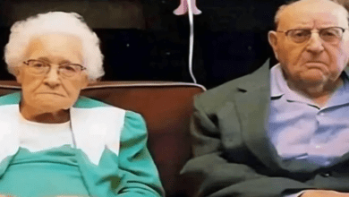 Luto 2025 08 20T112105.815