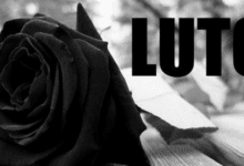 Luto 2025 08 29T174409.050