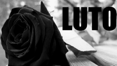 Luto 2025 08 29T174409.050