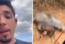 postimg 68a60fa0a76be7588