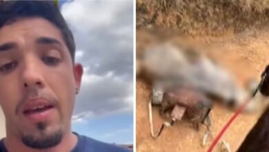 postimg 68a60fa0a76be7588