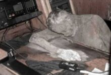 552420091 834583305580405 3187607845821733902 n