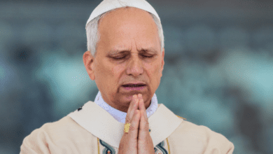 Luto 2025 09 01T170312.058