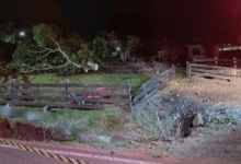 Luto 2025 09 01T180149.098