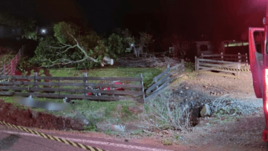 Luto 2025 09 01T180149.098