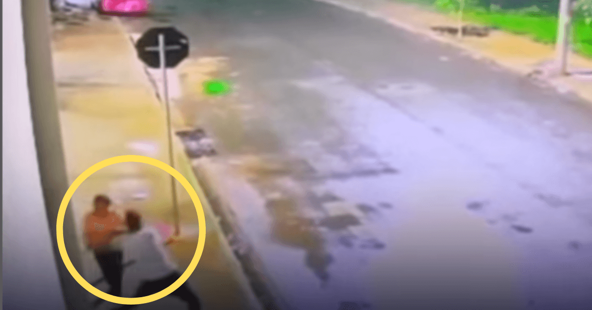 Esposa afirma à polícia que o marido m0rreu após brig4 em bar, mas câmeras revelam o inacreditável… Ver mais