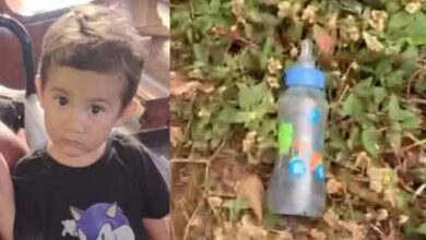 Captura de tela 2025 10 14 180842