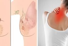 Captura de tela 2025 10 15 183059