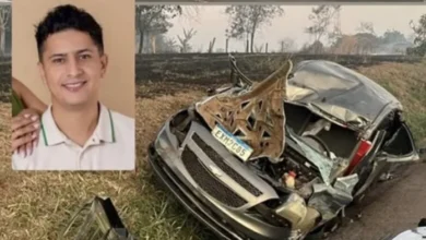 IMG 0297 696x436.jpeg.webp