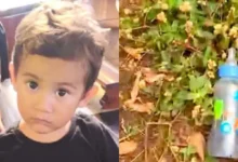 artigo 40f51b2ba8ac1d33a4f290a8 1140x630 1.webp