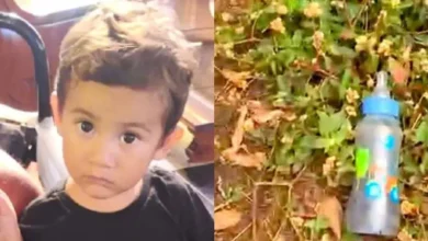 artigo 40f51b2ba8ac1d33a4f290a8 1140x630 1.webp